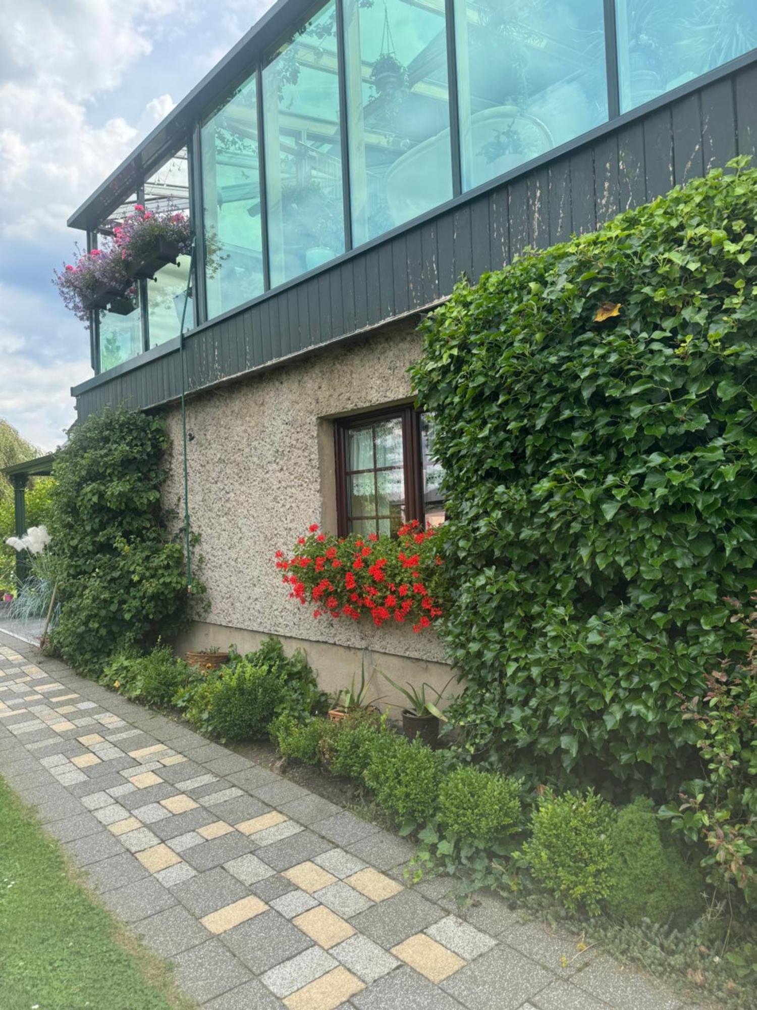 Ferienwohnung Hinterhermsdorf Glaser Sebnitz Bagian luar foto